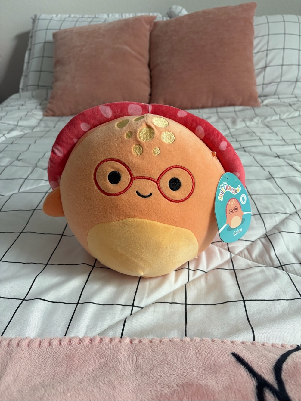 Squishmallows Orange Plush with Pink Polka-Dot Shell - Caine